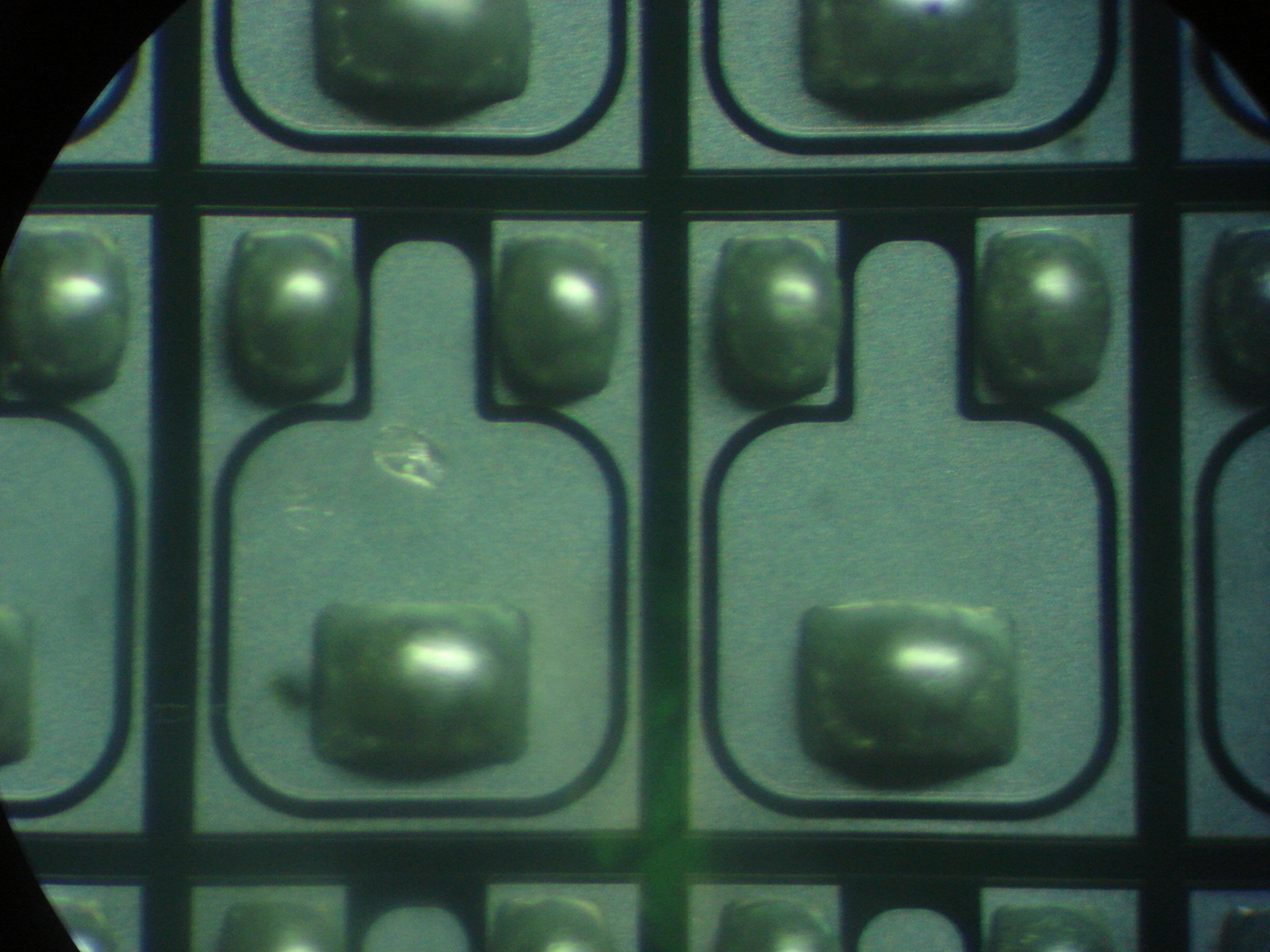 DSN-2aƷĿ